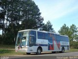 Transventur 1309 na cidade de Pelotas, Rio Grande do Sul, Brasil, por Henrique  Varzim. Número da foto: #4047013.