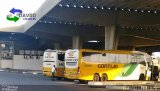 Empresa Gontijo de Transportes 18055 na cidade de Aracaju, Sergipe, Brasil, por David  Souza. Número da foto: #4047517.