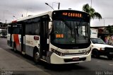 Evanil Transportes e Turismo RJ 132.114 na cidade de Rio de Janeiro, Rio de Janeiro, Brasil, por Igor Silva. Número da foto: #4046317.