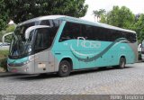 Rosa Turismo 14409 na cidade de Petrópolis, Rio de Janeiro, Brasil, por Hélio  Teodoro. Número da foto: #:id.