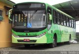 Viação Falcão RJ 179.001 na cidade de Quatis, Rio de Janeiro, Brasil, por Hélio  Teodoro. Número da foto: #4048474.