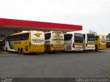 Empresa Gontijo de Transportes 12310 na cidade de Ribeirão Preto, São Paulo, Brasil, por Tailisson Fernandes. Número da foto: #:id.