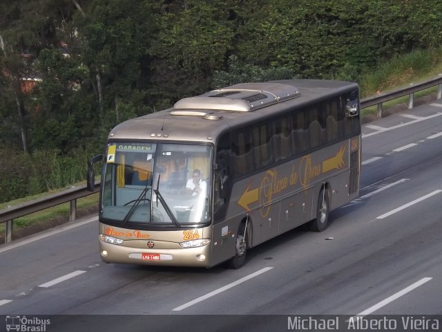 Flexa de Ouro 254 na cidade de Barueri, São Paulo, Brasil, por Michael  Alberto Vieira. Número da foto: #4115649.