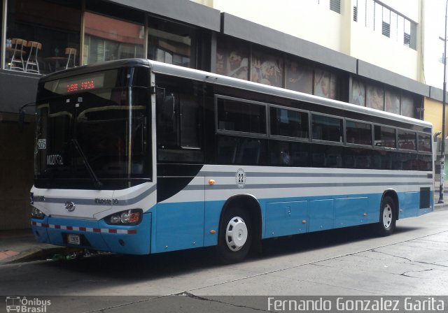Buses Guadalupe 22 na cidade de Alto Alegre, Roraima, Brasil, por Fernando Gonzalez Garita. Número da foto: #4118697.