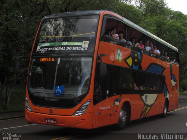 Parque Nacional do Iguaçu GRALHA-PICAçA na cidade de Foz do Iguaçu, Paraná, Brasil, por Nícolas Vitorino Lopes. Número da foto: #4125100.