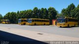 Gidion Transporte e Turismo 10903 na cidade de Joinville, Santa Catarina, Brasil, por Alexandre F.  Gonçalves. Número da foto: #:id.