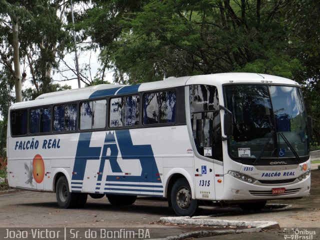 Falcão Real 1315 na cidade de Senhor do Bonfim, Bahia, Brasil, por João Victor. ID da foto: 4127688.