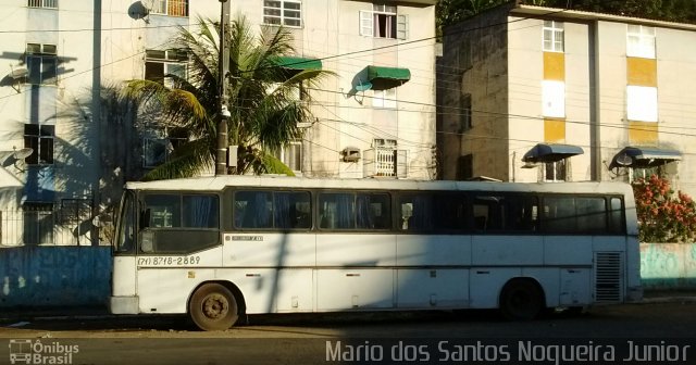 Ônibus Particulares PBA2445 na cidade de Salvador, Bahia, Brasil, por Mario dos Santos Nogueira Junior. ID da foto: 4127738.