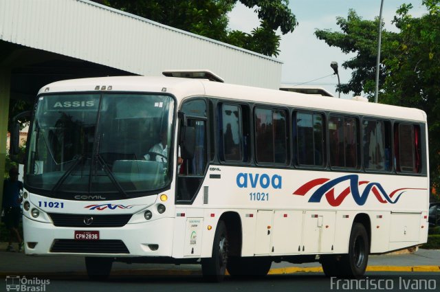 AVOA - Auto Viação Ourinhos Assis 11021 na cidade de Assis, São Paulo, Brasil, por Francisco Ivano. Número da foto: #4130228.