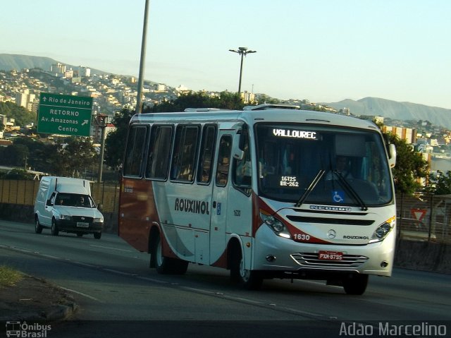 Rouxinol 1630 na cidade de Belo Horizonte, Minas Gerais, Brasil, por Adão Raimundo Marcelino. Número da foto: #4131188.