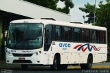 AVOA - Auto Viação Ourinhos Assis 11021 na cidade de Assis, São Paulo, Brasil, por Francisco Ivano. Número da foto: #4130228.
