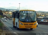 STEC - Subsistema de Transporte Especial Complementar  na cidade de Belo Horizonte, Minas Gerais, Brasil, por Adão Raimundo Marcelino. Número da foto: #4131026.