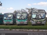 Rosa Turismo 13040 na cidade de Sorocaba, São Paulo, Brasil, por Weslley Kelvin Batista. Número da foto: #4132311.