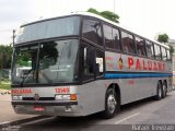 Paluana Transportes 13140 na cidade de São Paulo, São Paulo, Brasil, por Rafael Trevizan. Número da foto: #4134018.