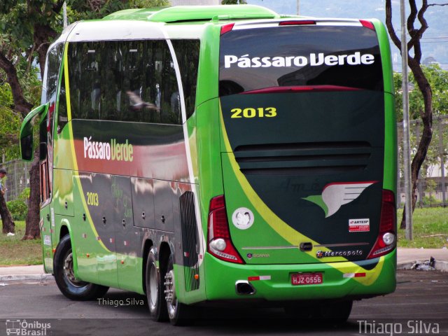 Pássaro Verde 2013 na cidade de Brasília, Distrito Federal, Brasil, por Thiago Silva . Número da foto: #4099785.