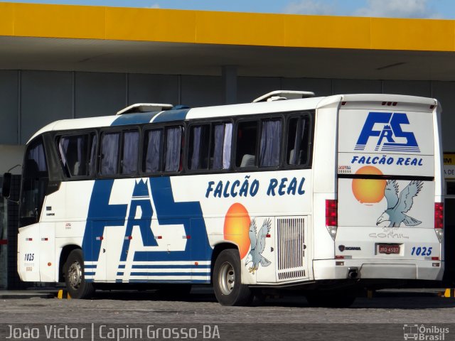Falcão Real 1025 na cidade de Capim Grosso, Bahia, Brasil, por João Victor. Número da foto: #4137310.