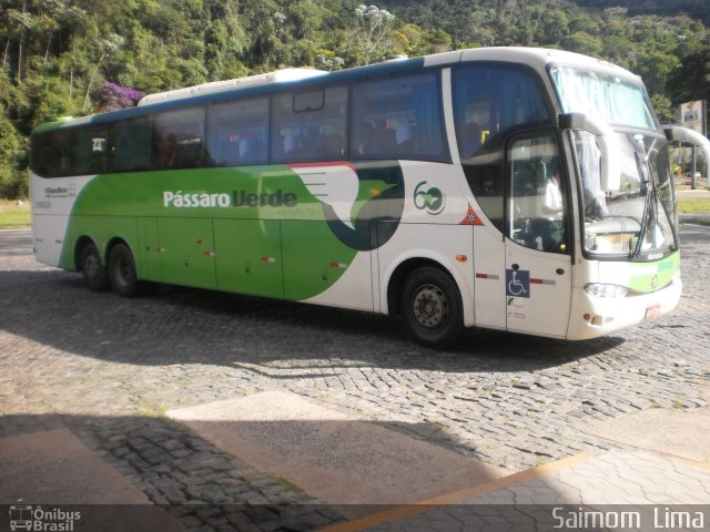 Pássaro Verde 28031 na cidade de Manhuaçu, Minas Gerais, Brasil, por Saimom  Lima. ID da foto: 4136405.