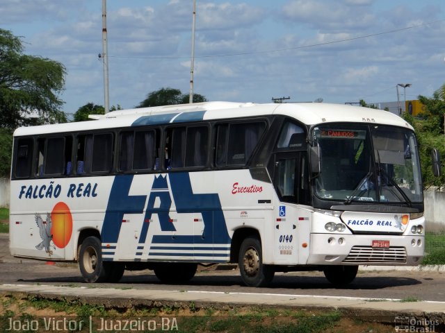 Falcão Real 0140 na cidade de Juazeiro, Bahia, Brasil, por João Victor. ID da foto: 4137319.