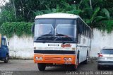 Ônibus Particulares JTO3170 na cidade de Santa Izabel do Pará, Pará, Brasil, por Carlos Jorge N.  de Castro. Número da foto: #4135852.