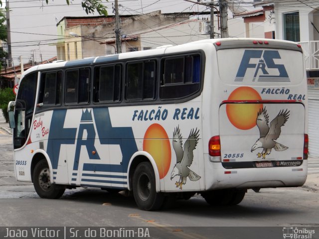 Falcão Real 20555 na cidade de Senhor do Bonfim, Bahia, Brasil, por João Victor. ID da foto: 4138148.