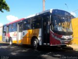 Athenas Paulista 28807 na cidade de São Carlos, São Paulo, Brasil, por Fábio Barbano. ID da foto: :id.