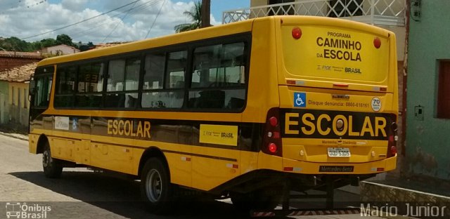 Escolares 04 na cidade de Piritiba, Bahia, Brasil, por Mario Junior. Número da foto: #4148439.