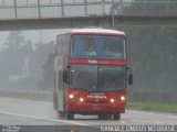 Pluma Conforto e Turismo 7101 na cidade de Sorocaba, São Paulo, Brasil, por EDUARDO - SOROCABUS. Número da foto: #4146785.