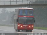 Pluma Conforto e Turismo 7101 na cidade de Sorocaba, São Paulo, Brasil, por EDUARDO - SOROCABUS. ID da foto: :id.