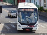 Vera Cruz Transporte e Turismo 2440 na cidade de Araxá, Minas Gerais, Brasil, por Erwin  Luiz. Número da foto: #4146521.