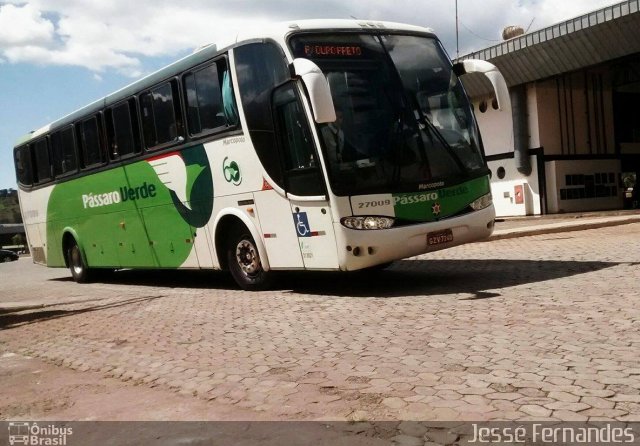 Pássaro Verde 27009 na cidade de Itabirito, Minas Gerais, Brasil, por Jessé Fernandes. ID da foto: 4150933.