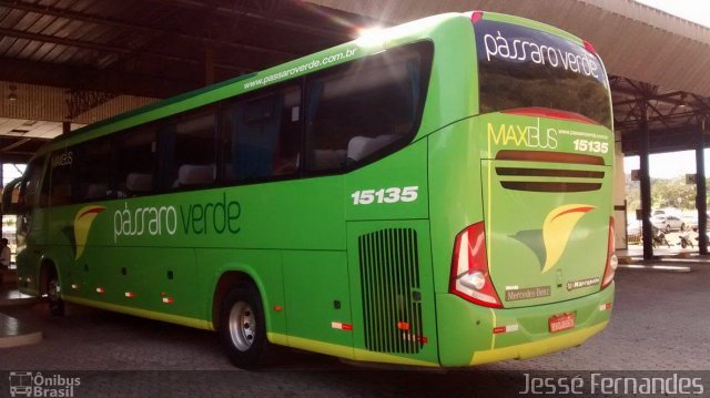Pássaro Verde 15135 na cidade de Itabirito, Minas Gerais, Brasil, por Jessé Fernandes. Número da foto: #4150941.