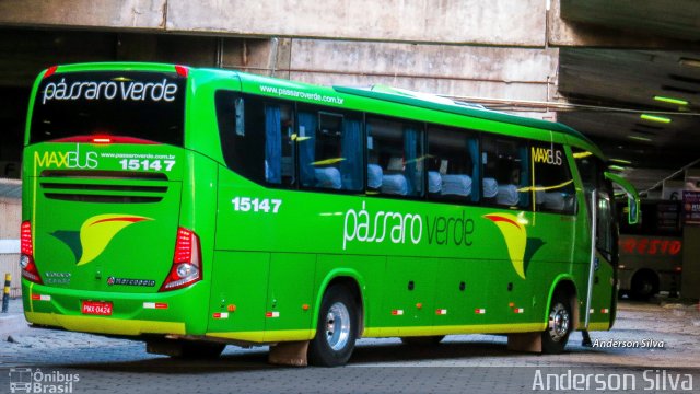 Pássaro Verde 15147 na cidade de Belo Horizonte, Minas Gerais, Brasil, por Anderson Silva. ID da foto: 4151127.