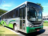 Turin Transportes 2005 na cidade de Ouro Branco, Minas Gerais, Brasil, por Caio Fonseca. Número da foto: #4151099.