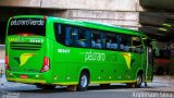 Pássaro Verde 15147 na cidade de Belo Horizonte, Minas Gerais, Brasil, por Anderson Silva. Número da foto: #4151127.