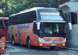 Chilebus Internacional 223 na cidade de São Paulo, São Paulo, Brasil, por Robson Teixeira. ID da foto: :id.