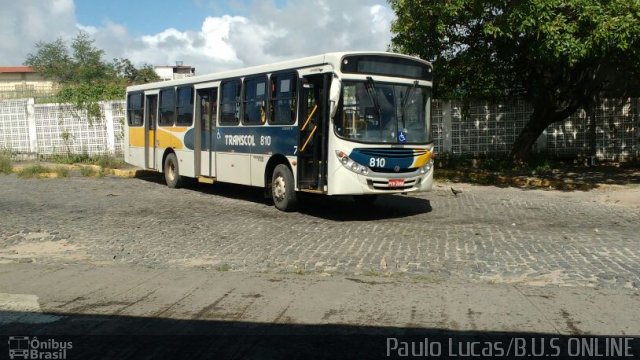 Transcol - Transportes Coletivos Ltda. 810 na cidade de Recife, Pernambuco, Brasil, por Paulo Lucas. Número da foto: #4153069.