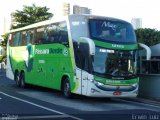Pássaro Verde 12125 na cidade de Ribeirão Preto, São Paulo, Brasil, por Erwin  Luiz. Número da foto: #4153231.