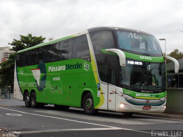 Pássaro Verde 12125 na cidade de Ribeirão Preto, São Paulo, Brasil, por Erwin  Luiz. Número da foto: #4156140.