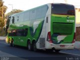 Pássaro Verde 12118 na cidade de Ribeirão Preto, São Paulo, Brasil, por Erwin  Luiz. Número da foto: #4156112.