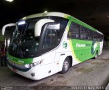Pássaro Verde 11096 na cidade de Belo Horizonte, Minas Gerais, Brasil, por Maurício Nascimento. Número da foto: #:id.