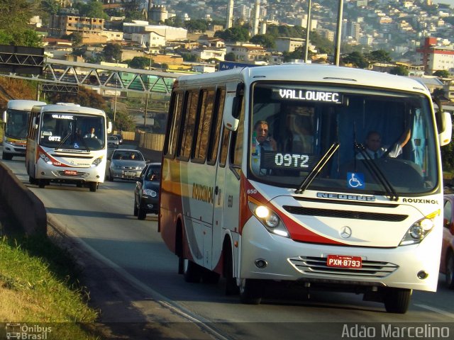Rouxinol 650 na cidade de Belo Horizonte, Minas Gerais, Brasil, por Adão Raimundo Marcelino. Número da foto: #4158308.