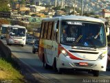 Rouxinol 650 na cidade de Belo Horizonte, Minas Gerais, Brasil, por Adão Raimundo Marcelino. Número da foto: #4158308.
