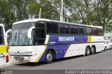 Brilhatur 1620 na cidade de Tramandaí, Rio Grande do Sul, Brasil, por Daniel Espindola Dorneles. Número da foto: #4108531.