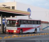 M.O. Transportes 2904 na cidade de Feira de Santana, Bahia, Brasil, por Carlos  Henrique. Número da foto: #4107449.