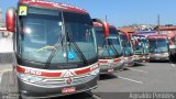 Santa Maria Fretamento e Turismo > Transportes Santa Maria(SP) 250 na cidade de São Bernardo do Campo, São Paulo, Brasil, por Agnaldo Penides. Número da foto: #4109323.