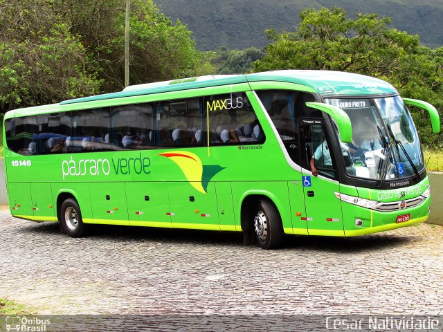 Pássaro Verde 15146 na cidade de Ouro Preto, Minas Gerais, Brasil, por César Natividade. ID da foto: 4112030.