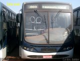 HP Transportes Coletivos 2367 na cidade de Goiânia, Goiás, Brasil, por Carlos Júnior. Número da foto: #4114058.