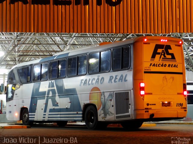 Falcão Real 1190 na cidade de Juazeiro, Bahia, Brasil, por João Victor. ID da foto: 4160089.