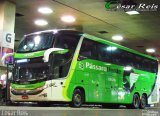 Pássaro Verde 12126 na cidade de Belo Horizonte, Minas Gerais, Brasil, por César Ônibus. Número da foto: #4160987.
