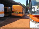 Escolares 3036 na cidade de Gama, Distrito Federal, Brasil, por Ronan Silva. Número da foto: #:id.